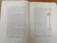 IMG_20260227_104058.jpg