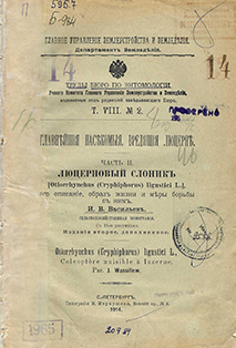 Люцерновый слоник, его описание, образ жизни и меры борьбы с ним