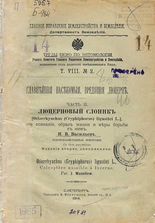 Люцерновый слоник, его описание, образ жизни и меры борьбы с ним