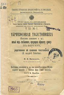 Абрикосовая толстоножка (Eurytoma Samsonowi n. sp.), новый вид насекомого, вредящего абрикосу (урюку) в Фергане, и родственная ей сливяная толстоножка (E. amygdali Enderlein)