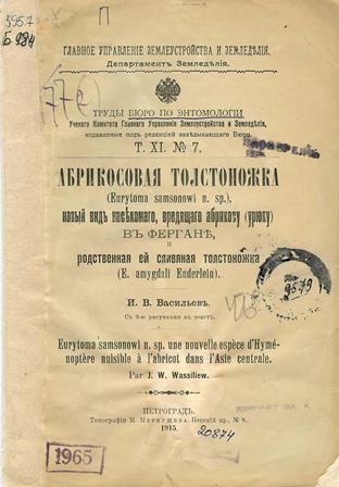 Абрикосовая толстоножка (Eurytoma Samsonowi n. sp.), новый вид насекомого, вредящего абрикосу (урюку) в Фергане, и родственная ей сливяная толстоножка (E. amygdali Enderlein)