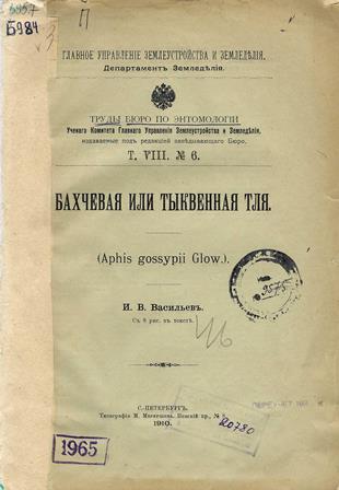 Бахчевая или тыквенная тля (Aphis gossypii Glow.)