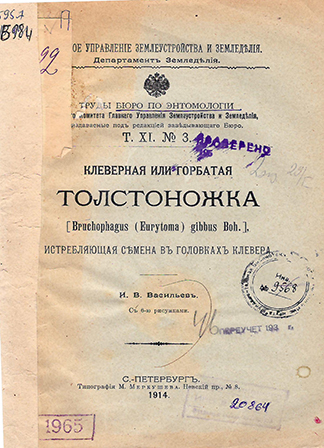 Клеверная или горбатая толстоножка (Bruchophagus (Eurytoma) gibbus Boh.), истребляющая семена в головках клевера
