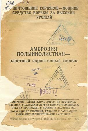 Амброзия полыннолистная - злостный карантинный сорняк